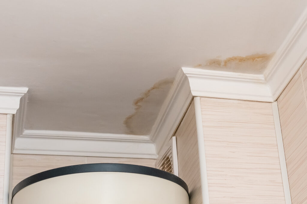 water damage restoration roswell