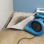 water damage roswell
